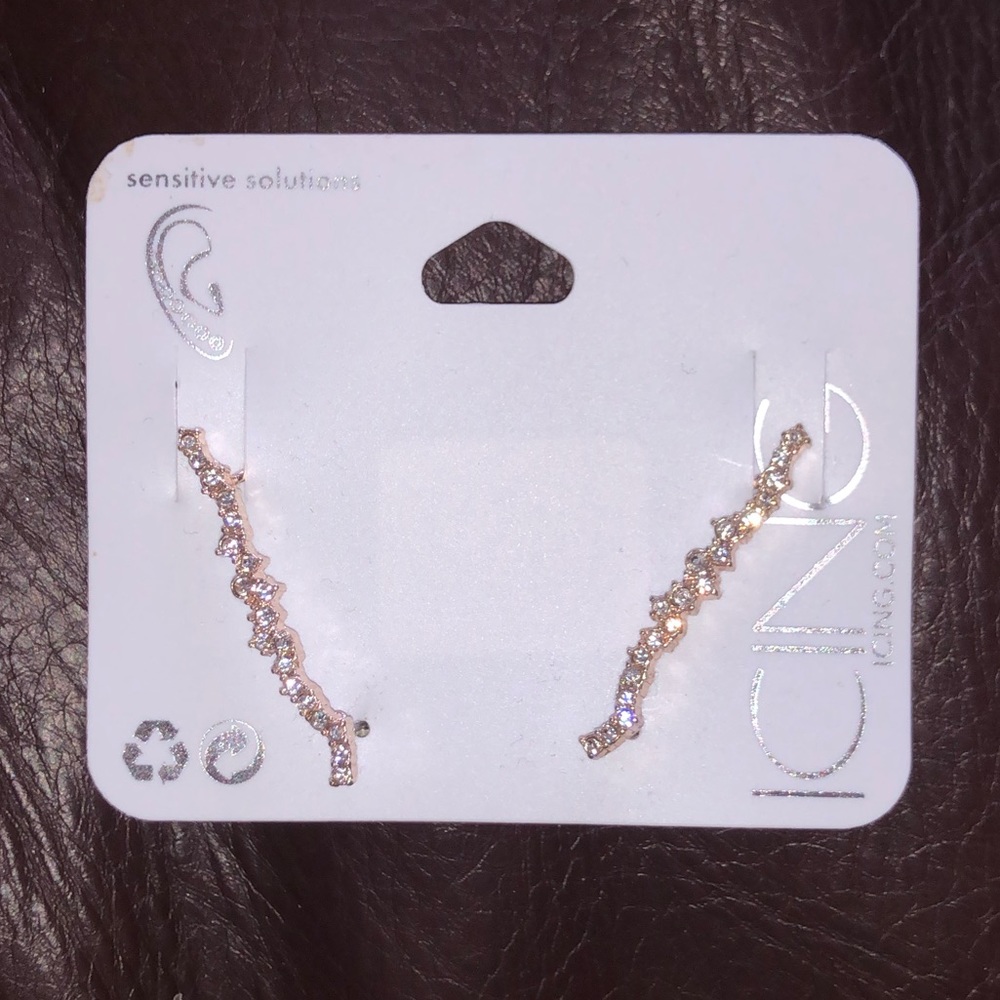 Earrings (never worn) from icing